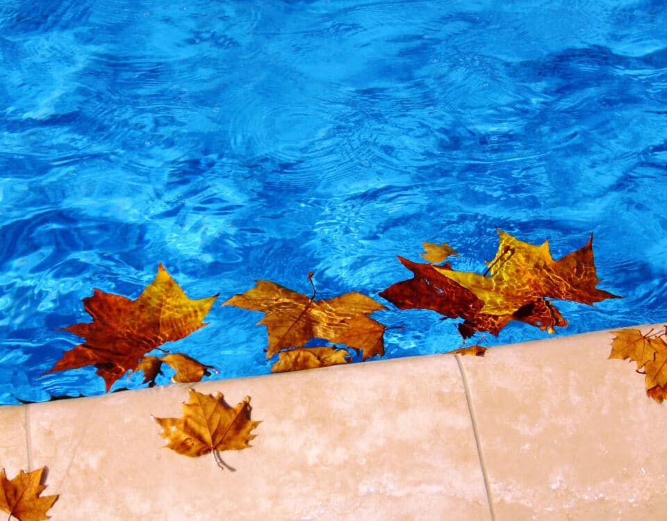 w=1200,h=900,fit=crop,format=auto